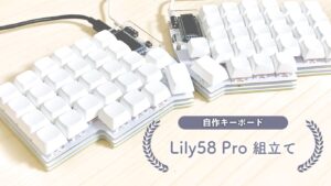自作キーボード(Lily 58 Pro)のMac用キーマッピング | タワケタガリ