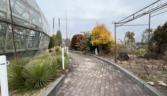 兵庫県姫路市「手柄山温室植物園」：小温室外側の花壇