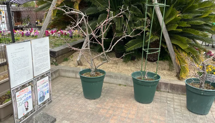 兵庫県姫路市「手柄山温室植物園」：ニュートンの林檎とメンデルの葡萄