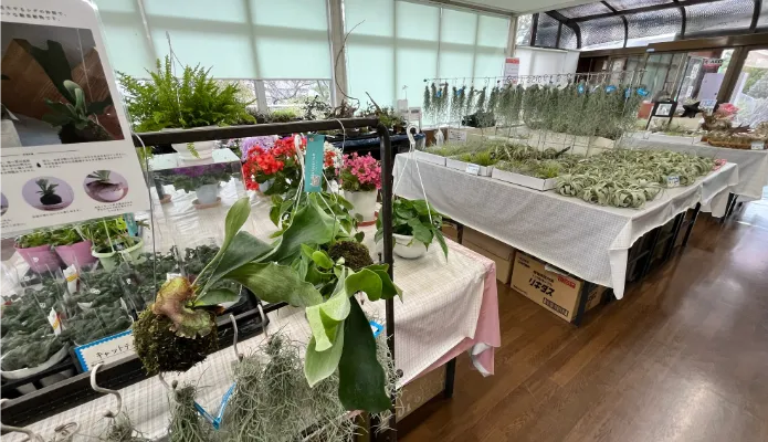 兵庫県姫路市「手柄山温室植物園」：レストハウス売店