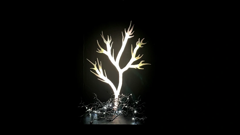 リンバス展:黄金の枝